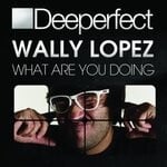 cover: Wally Lopez - What Are You Doing