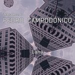 cover: Pedro Campodonico|Zebra Rec. - Lana