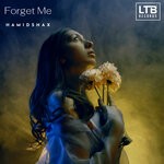 cover: Hamidshax - Forget Me