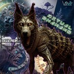 cover: Dissordiky - Ritual Shamans