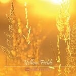 cover: Clungsummler - Yellow Fields