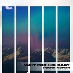 cover: Patrik Nordin - Wait For His Baby