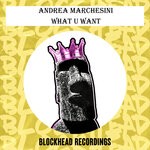 cover: Andrea Marchesini - What U Want (Richard Earnshaw & Ridney Remix)