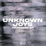 cover: Unknown Joys - Astrocat