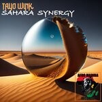 cover: Tayo Wink - Sahara Synergy