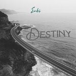 cover: Enki - Destiny