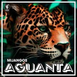 cover: Mijangos - Aguanta