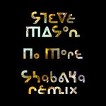 cover: Steve Mason|Shabaka Hutchings - No More