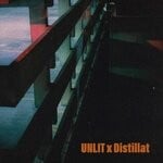 cover: Unlit, Distillat - N19 / Silhouette