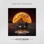 cover: Sevenever|Tiger Smth - Without You (Chris Bravo Remix)