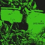 cover: Bdrmm - If.... (Ditz Remix)