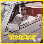 cover: Agent Zed|Katrina & The Waves|Carstn - Walking On Sunshine (Remixes)