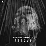 cover: Visual Impact - Voices