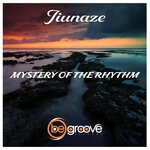 cover: Jiunaze - Mystery Of The Rhythm