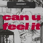 cover: Goosey - Can U Feel It