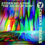 cover: Pmb|Steven Jay - The Sound Of Now