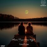 cover: Lowcree - More Than One Night (Original Mix)