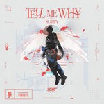 cover: Slippy - Tell Me Why