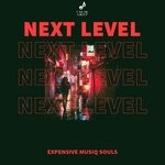 cover: Expensive Musiq Souls - Next Level