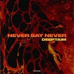 cover: Deeptaim - Never Say Never (Extended Mix)