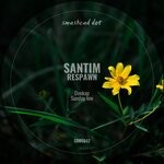 cover: Santim - Respawn