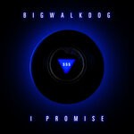 cover: BigWalkDog - I Promise