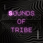 cover: Ilan Cintra - Sounds Of Tribe