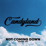 cover: Candyland|Zak Waters - Not Coming Down