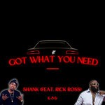 cover: Rick Ross|Shank - Got What You Need (Explicit)