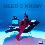 cover: Laya - Need 2 Know