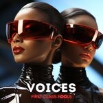 cover: First Class Fools - Voices