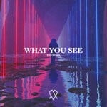 cover: Thvndex - What You See