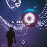 cover: Edroz|Tasty Wave - Never Know