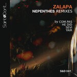 cover: Zalapa - Nepenthes Remixes