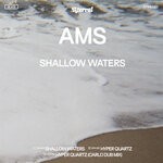 cover: Ams - Shallow Waters