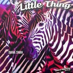 cover: Diana Swan - Little Thing