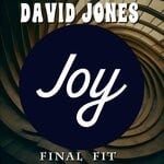 cover: David Jones - Final Fit