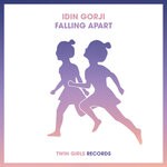 cover: Idin Gorji - Falling Apart