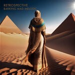 cover: Various - Retrospective