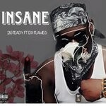 cover: Dx Flames - Insane