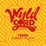 cover: Feerr - Sunset Pluck