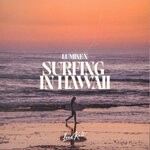 cover: Luminex|Will Knight - Surfing In Hawaii