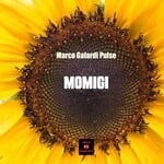 cover: Marco Galardi Pulse - Momigi