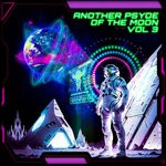 cover: Various - Another Psyde Of The Moon, Vol 3