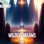 cover: Audiorider - Wildest Dreams (Original Mix)