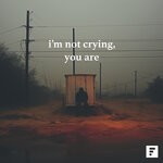 cover: Various - I'm Not Crying, You Are