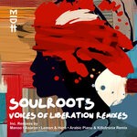 cover: Soulroots - Voices Of Liberation Remixes