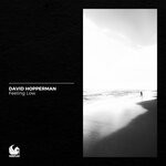 cover: David Hopperman - Feeling Low