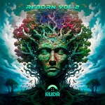 cover: Various - Reborn Vol 2