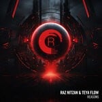 cover: Teya Flow|Raz Nitzan - Reasons